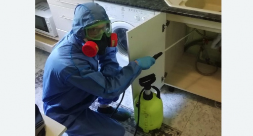 Уничтожение муравьев в квартире. Ленинск-Кузнецкий