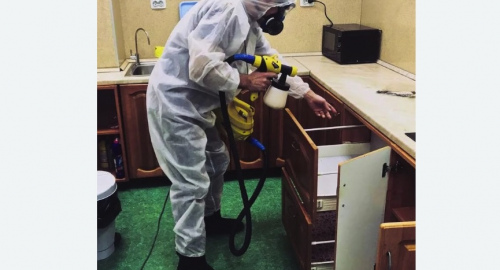 Уничтожение насекомых в квартире. Ленинск-Кузнецкий