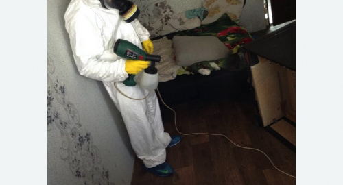 Обработка квартир от насекомых в Ленинск-Кузнецком