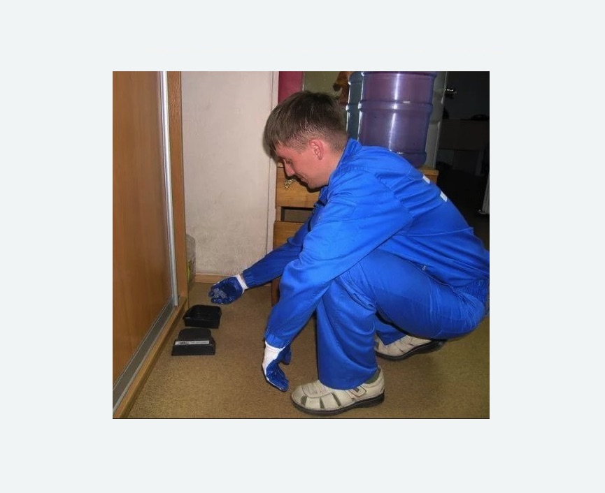 Дератизация крыс в Ленинск-Кузнецком