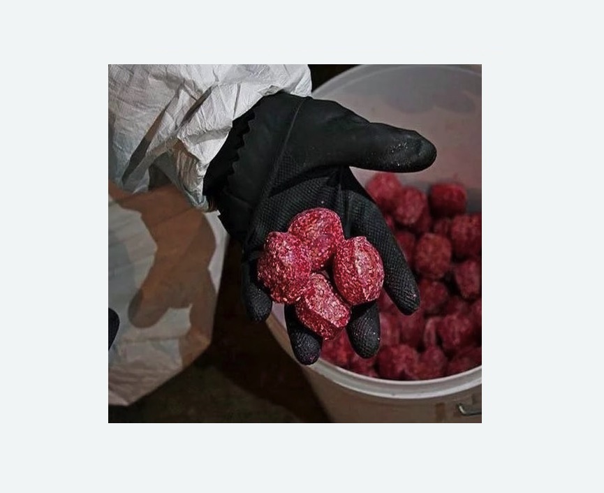 Обработка от крыс в Ленинск-Кузнецком