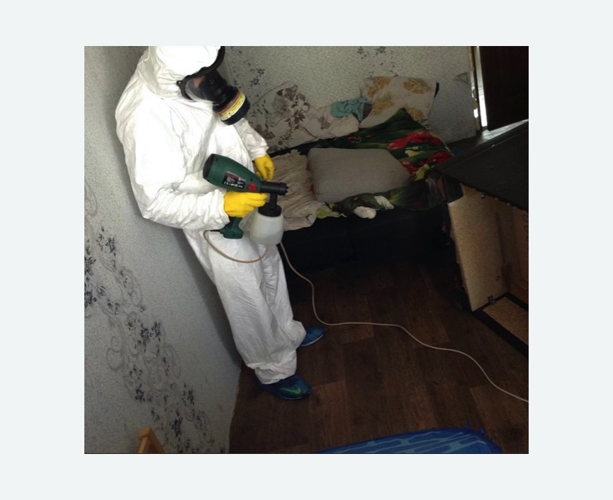 Обработка от насекомых в Ленинск-Кузнецком Обработка квартиры от насекомых
