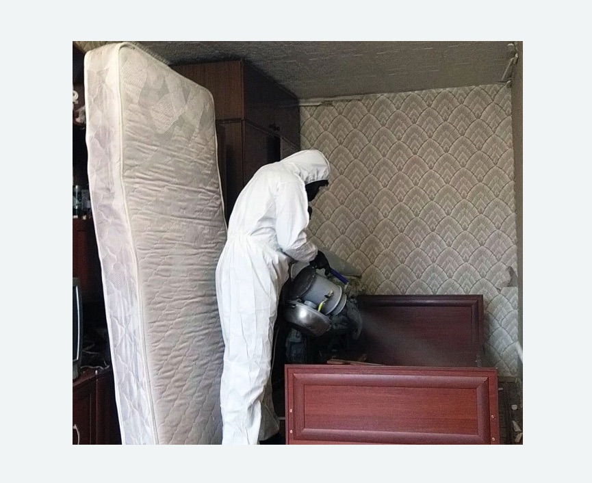 дезинфекция от клопов в Ленинск-Кузнецком