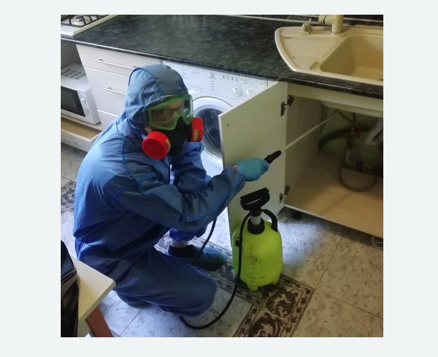 обработка от муравьев в квартире в Ленинск-Кузнецком