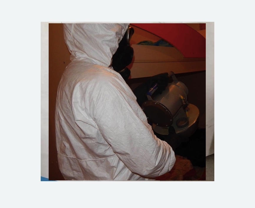 Дезинфекция от муравьев в Ленинск-Кузнецком