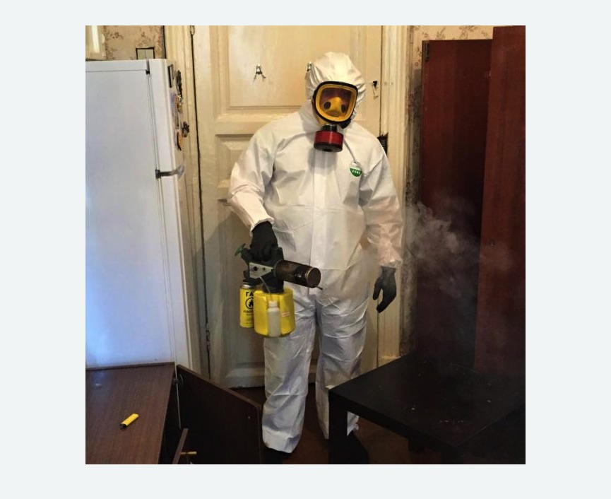 уничтожение муравьев в квартире в Ленинск-Кузнецком